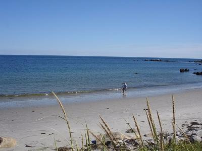 Bayswater Beach Provincial Park景点图片