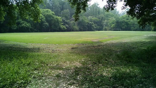 Cachoeira Paulista旅游景点-Lorena National Forest