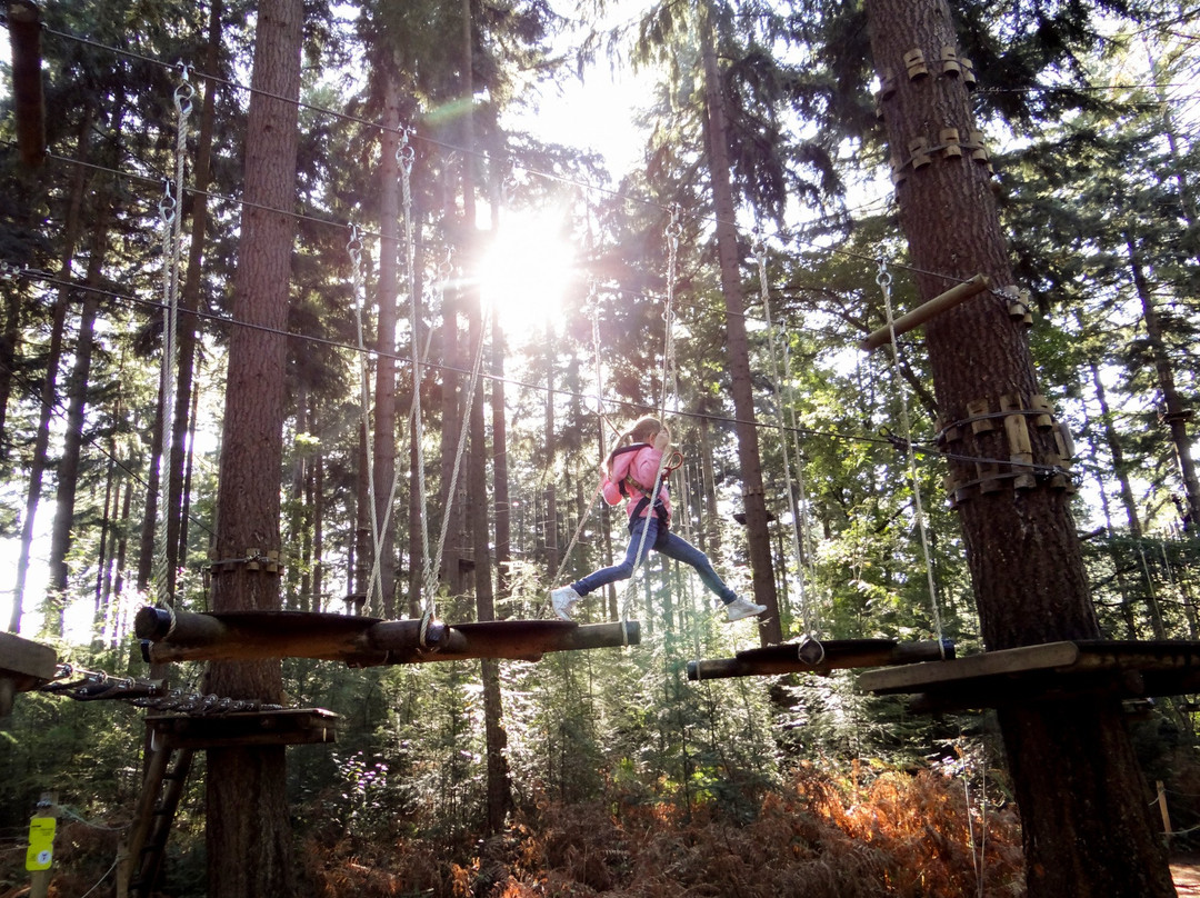 Klimbos Lage Vuursche
