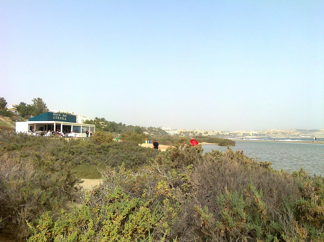 Aureola Beach Bar景点图片