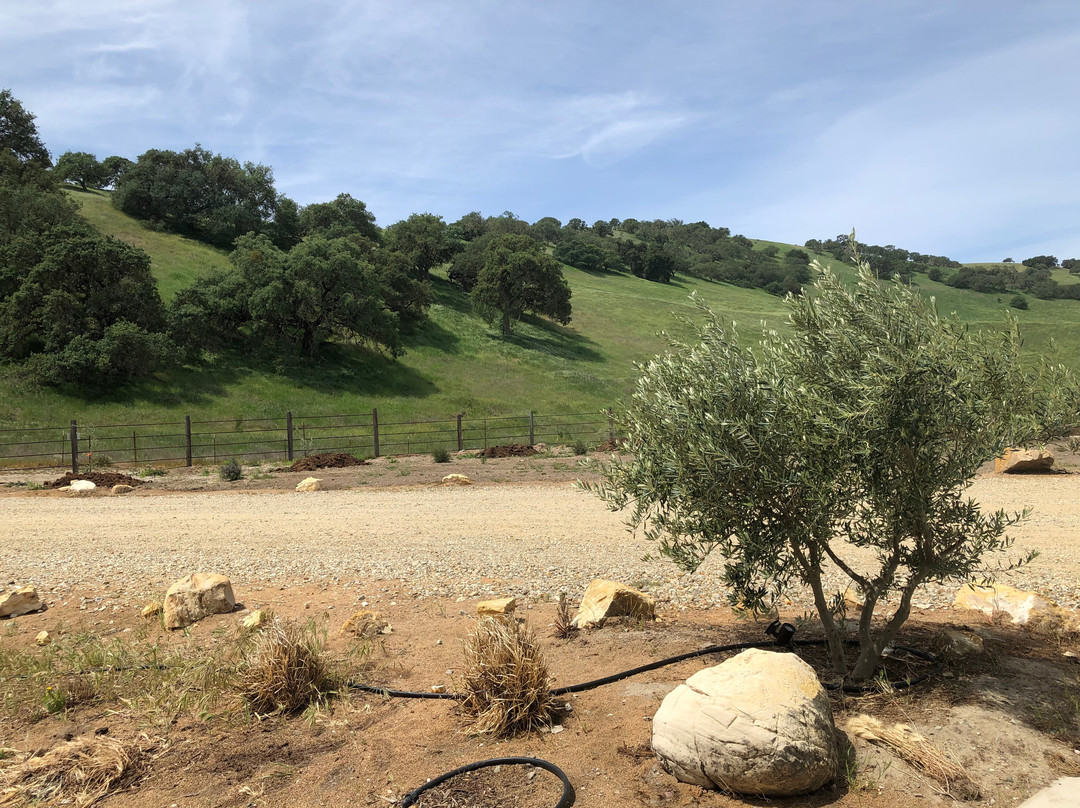 The Mill At Bar 43 Ranch-San Ardo必去景点