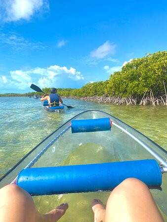 Clear Bottom Adventures-普罗维登西亚莱斯必去景点