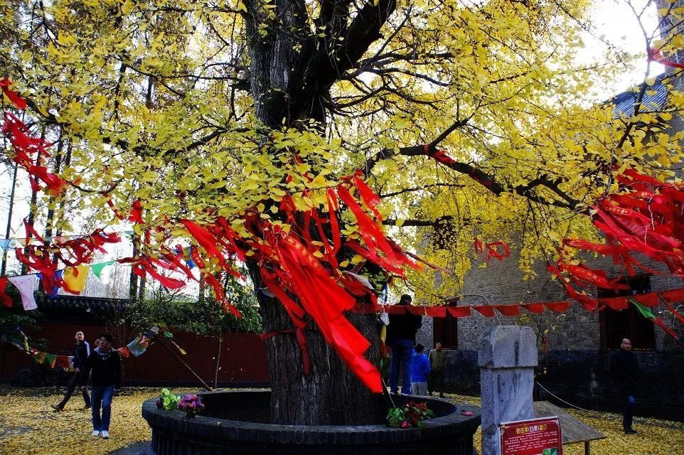 广德寺多宝塔-襄阳市必去景点