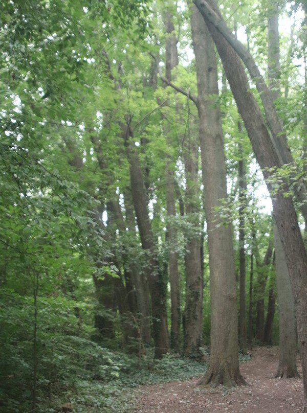 Steve Bauer Trails, Fonthill-方特希尔必去景点