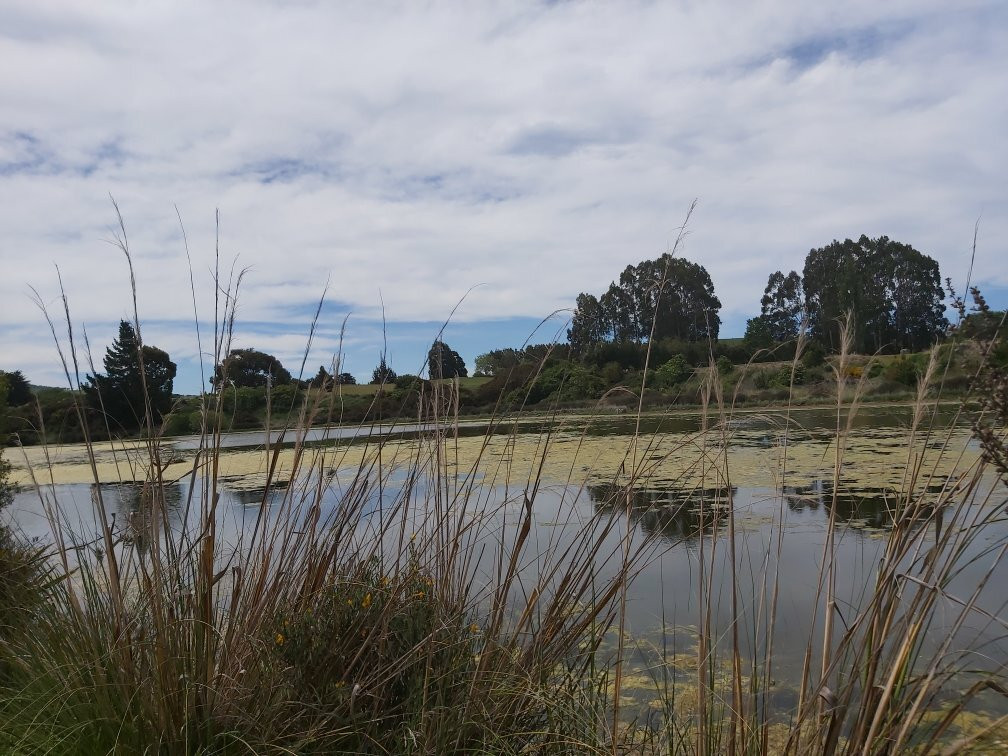 Hawksbury Lagoon景点图片