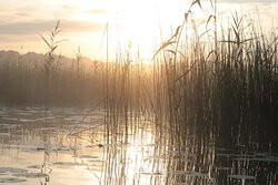 Lough Derg Water Sports-Nenagh必去景点