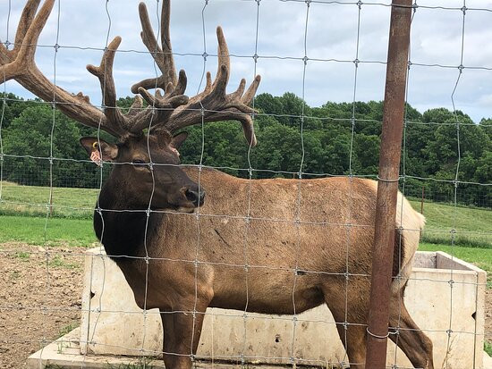 Quiet Harmony Ranch-New Paris必去景点