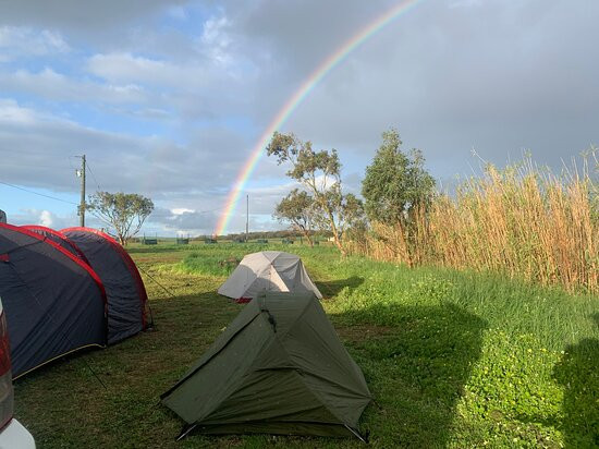 Oakabella Homestead, Tea Rooms and Campground-Bowes必去景点
