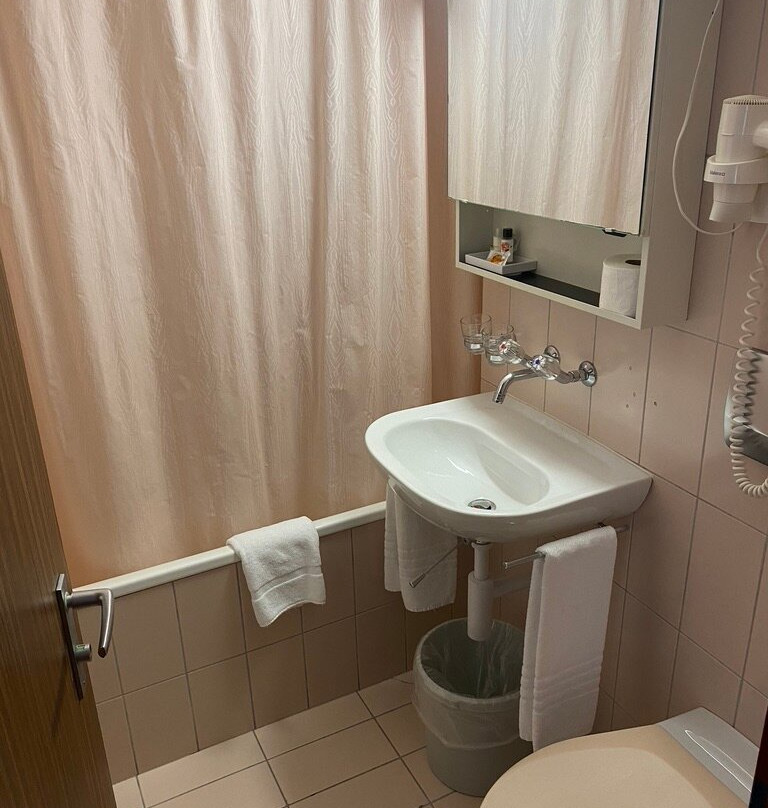 瑞士小屋酒店主图