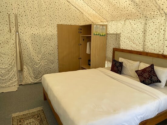 山中生态养生度假村-客卧