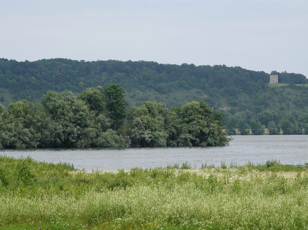 Sentier des Rossignols-Courcelles-sur-Seine必去景点