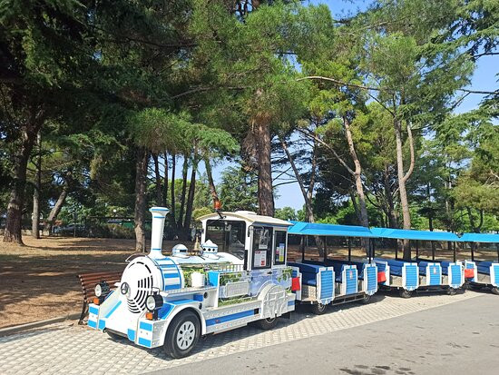 Hotel Gran Vista Plava Laguna主图