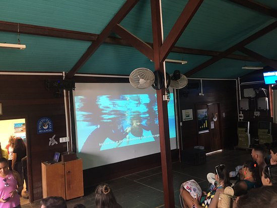 Fundação Projeto Tamar - Fernando de Noronha-费尔南多-迪诺罗尼亚群岛必去景点