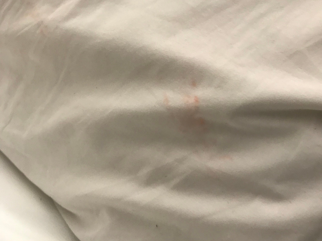 Travelers Rest酒店住宿-Holiday Inn Express & Suites Greenville - Taylors by IHG