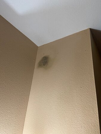 Hampton Inn & Suites Longview North主图