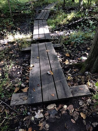 Franklin Lakes Nature Preserve景点图片