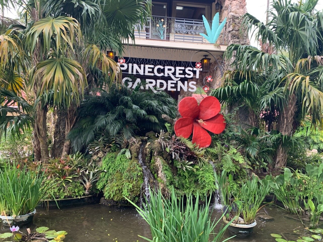 Pinecrest Gardens-Pinecrest必去景点