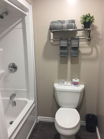 Timber Wolf Inn主图