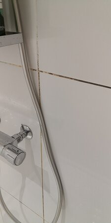 Le XII de Luynes主图