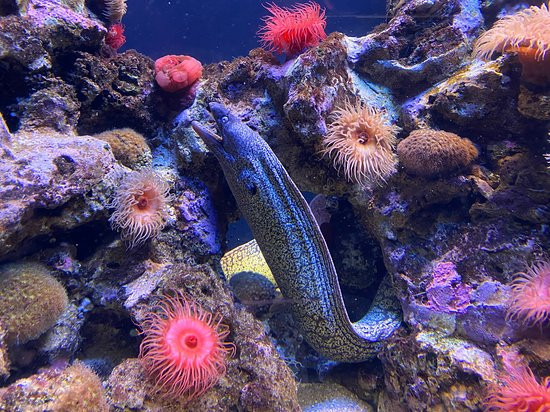 Spa Aquarium-Cala Ratjada必去景点