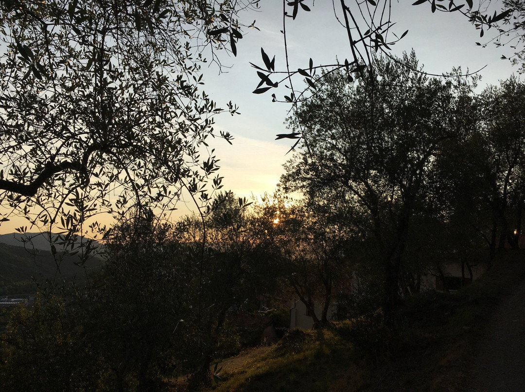 Agriturismo Profumo Di Natura主图