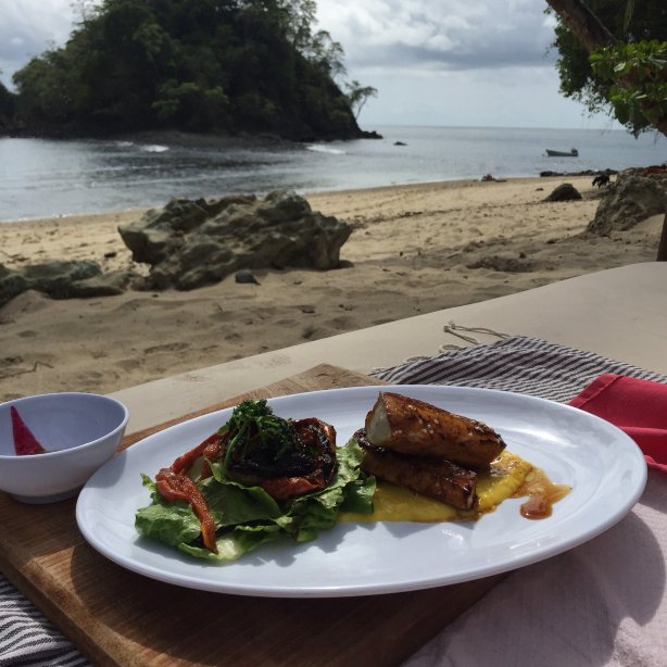 Iguana Beach Eco Resort-官方