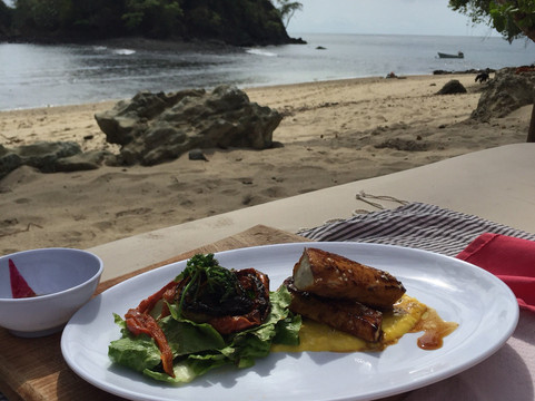 Isla Parida酒店住宿-Iguana Beach Eco Resort