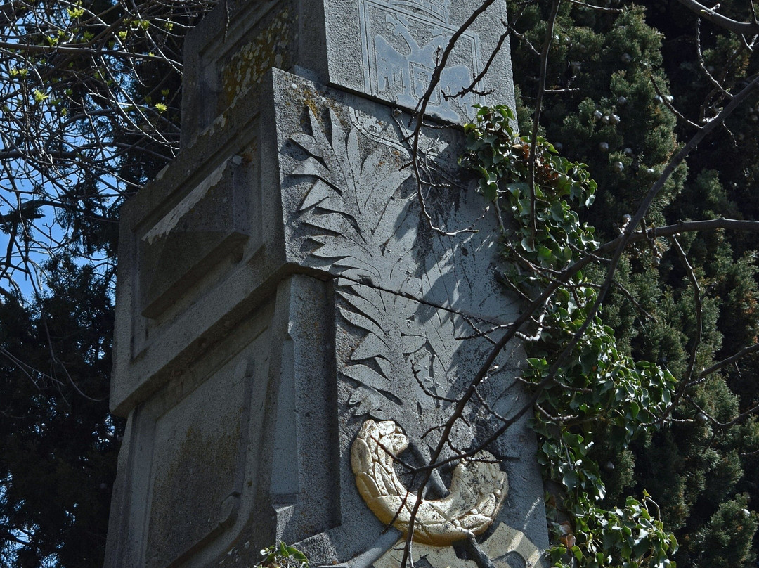 Memorial Sign in Honor of Professor N.A. Golovkinskiy