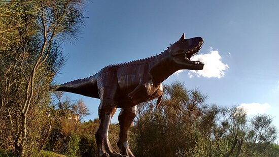 Parque del Origen景点图片