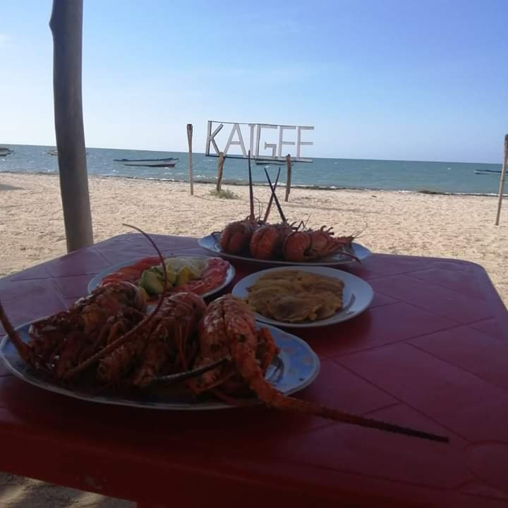 Servicio de Restaurante y Alojamiento Kaigee
