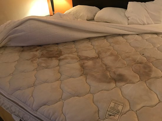 Radiance Inn And Suites主图