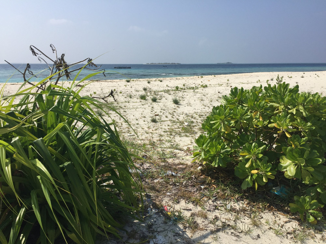 Tiny Island Marine Conservation Centre