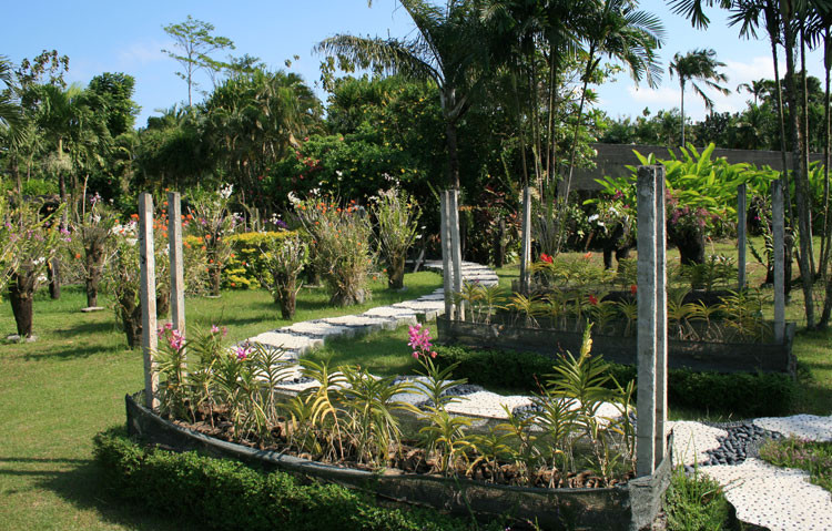 巴厘兰花园景点图片