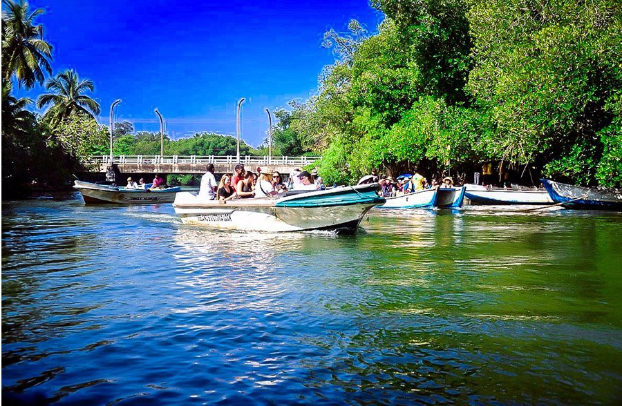 Nilwala River Safari