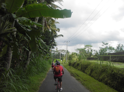 自行车游-乌布必去景点