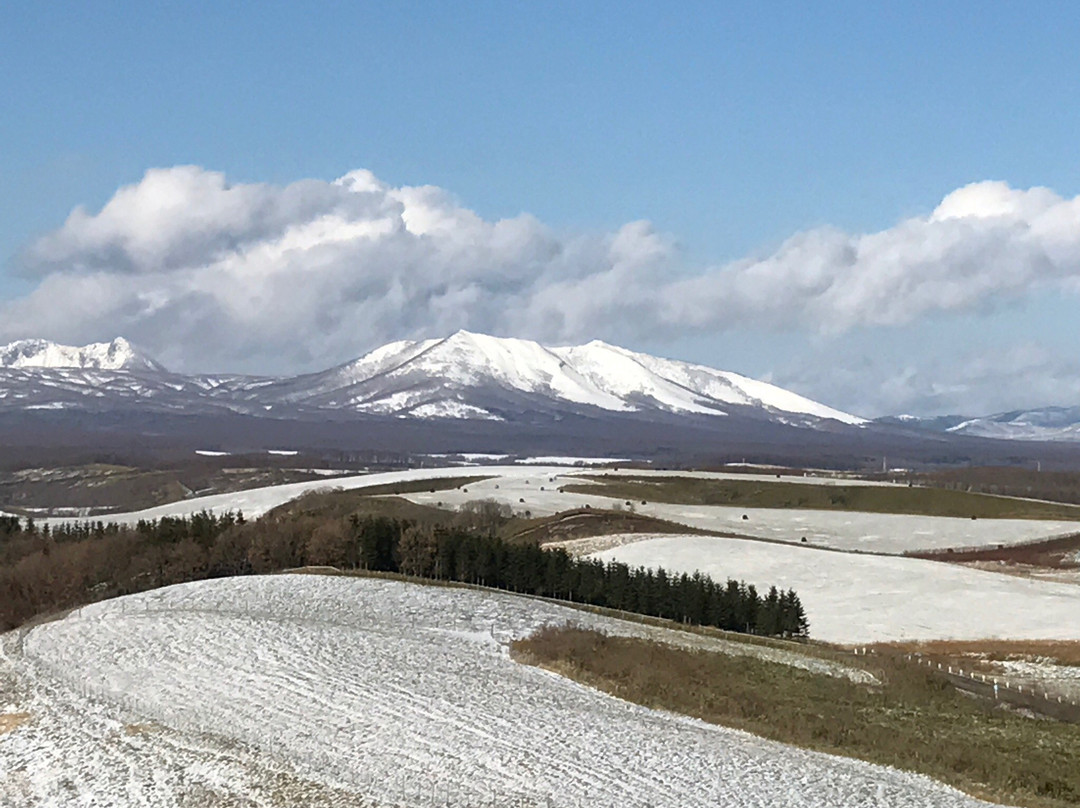 标茶町旅游攻略图片