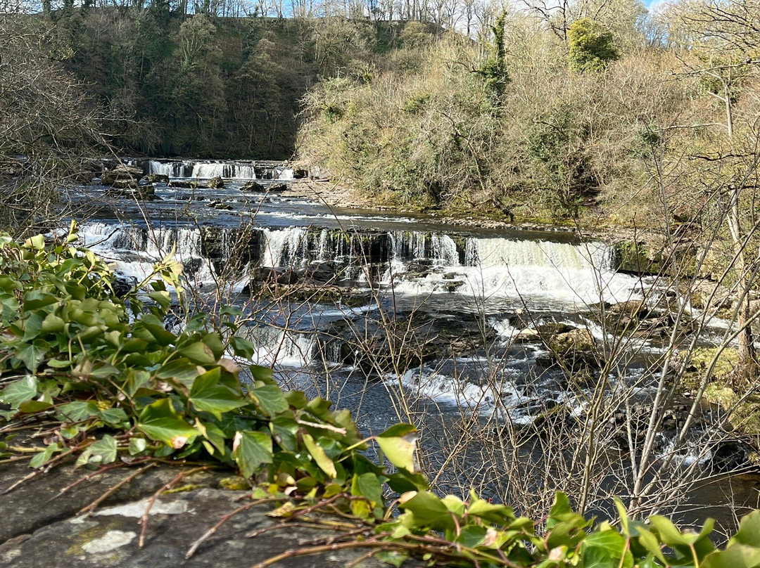 Aysgarth Rooms