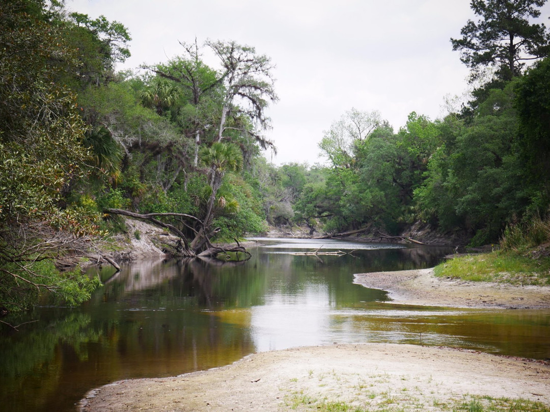 Geneva旅游攻略图片