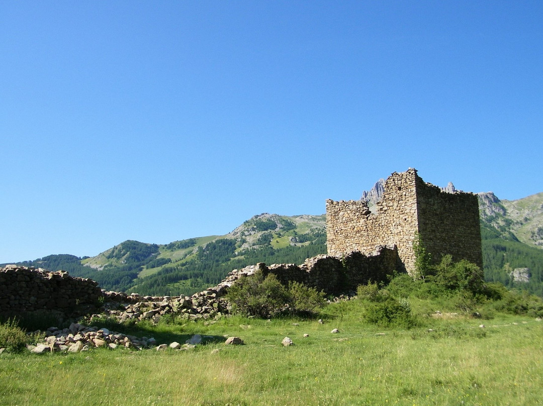 Ruines du Fort de Réallon景点图片