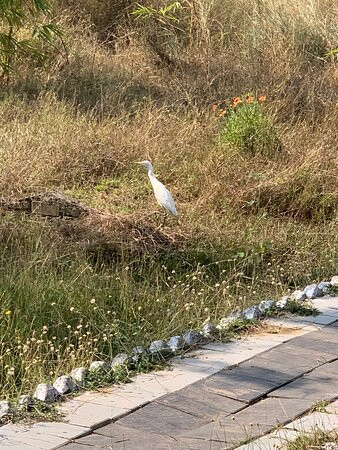 Tadoba Tiger Valley Resort Tadoba主图