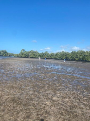 SaltyDawg Rentals-那不勒斯必去景点