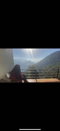 Nest And Hives主图