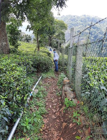 Catherine Falls-Kotagiri必去景点