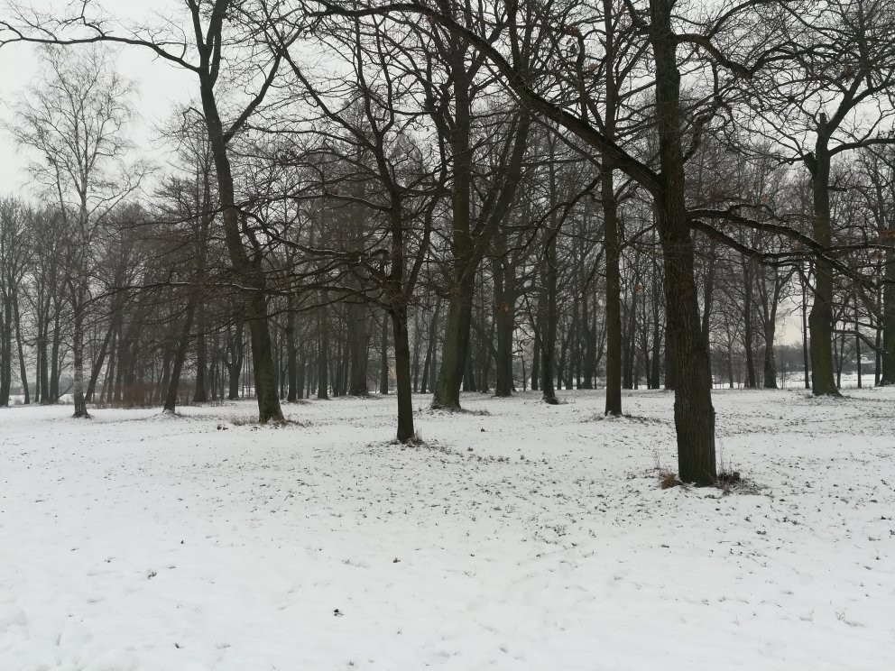 Orlovskiy Pond and Park景点图片