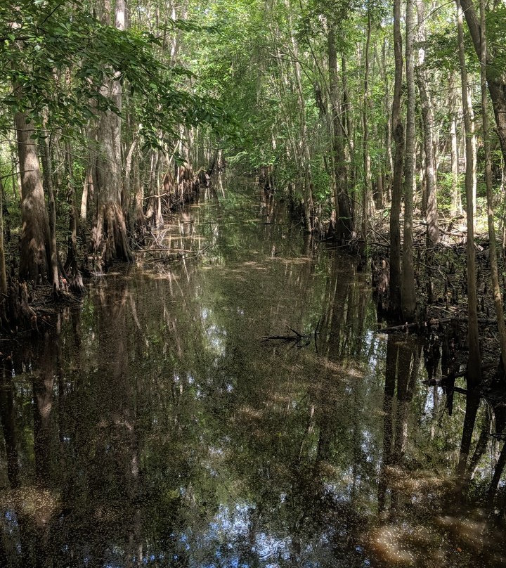 Black Bear Wilderness Area-桑福德必去景点