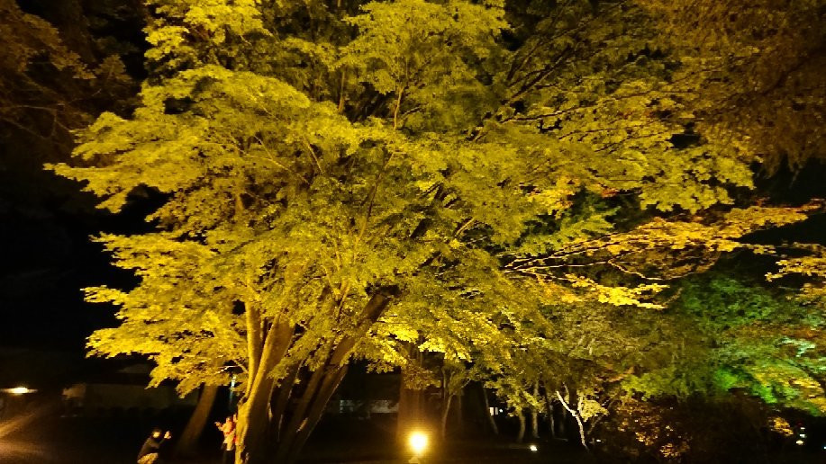 Miharashi Park (Kosetsuen)景点图片