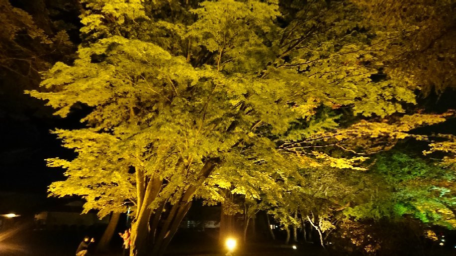 Miharashi Park (Kosetsuen)