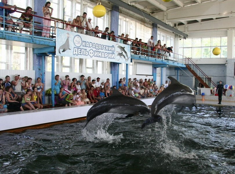 Karadag Dolphinarium景点图片
