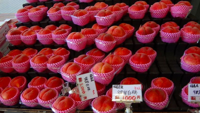 国見サービスエリア（上り線）スナックコーナー