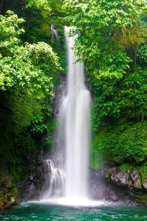 Tiwi Hot Springs National Park景点图片